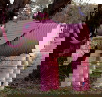 Animals on Bikes - Events Australia