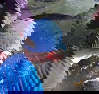 Aquascene - Events Australia