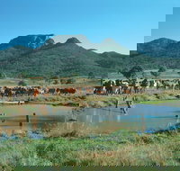 Biggenden - Events Australia