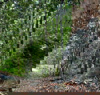 Blue Gum loop trail - Events Australia