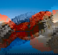 Boodjamulla Lawn Hill National Park - Events Australia