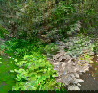Brindle Creek Picnic Area - Events Australia