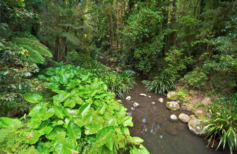 Brindle Creek Picnic Area - Tourism Bookings 0
