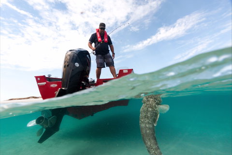 Burrum Coast Discovery Trail - Events Australia 0