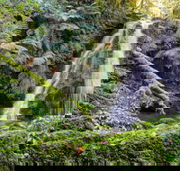 Cascades Walking Track - Events Australia