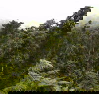 Cascade National Park - Events Australia