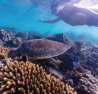 Complete Ningaloo Reef Experience - Accommodation Europe