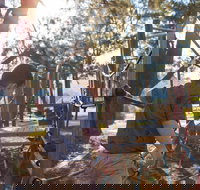 Cotter Avenue recreation area - Events Australia