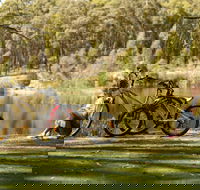 Creswick Regional Park - Events Australia