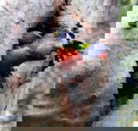 Cumberland State Forest - Events Australia