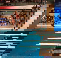 Dive Into History at Sydney Olympic Park Aquatic Centre - Events Australia