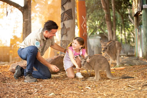 Dreamworld - Tourism Bookings 2