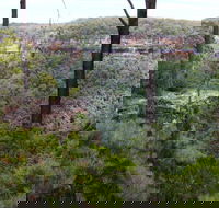 East Rim wildflower walking track