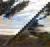 Fish Cannery Walking Trail - Tourism Bookings