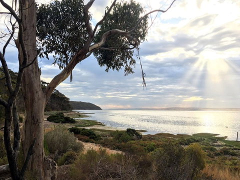 Fish Cannery Walking Trail - Events Australia 0