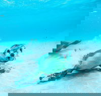 Jurien Bay - Accommodation Europe