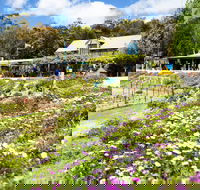 Kate's Berry Farm - Events Australia