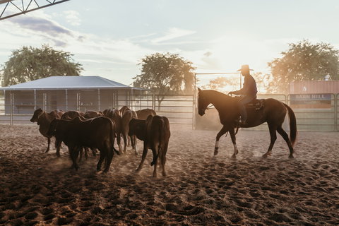 Katherine Outback Experience - Horse Riding Experience - Events Australia 2