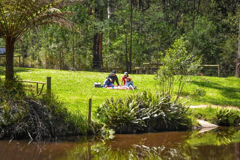 Kurth Kiln Regional Park - Events Australia 1