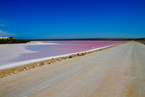 Lake McDonnell - Events Australia 0