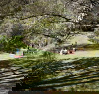 Leura Cascades picnic area - Events Australia