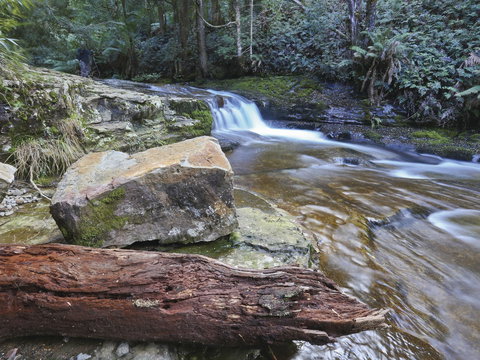 Liffey Falls Reserve - Events Australia 0