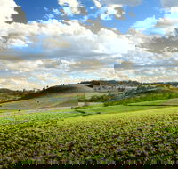 Lions Park Hodgson Vale - Events Australia
