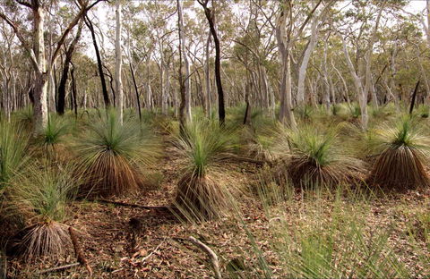 Livingstone National Park - Events Australia 0