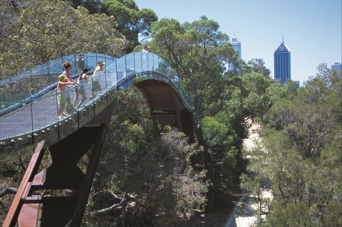 Lotterywest Federation Walkway - Kings Park - Events Australia 1