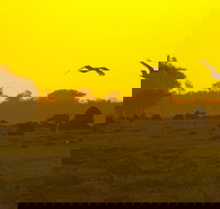 Mary River - Events Australia