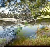 Murray Valley National Park - Events Australia