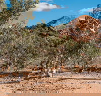 Old Coach Road Drive - Events Australia