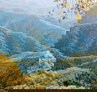 Point Lookout Walking Track - Events Australia