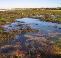 Point Danger Marine Sanctuary - Accommodation Europe