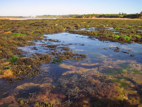 Point Danger Marine Sanctuary - Accommodation Europe 0