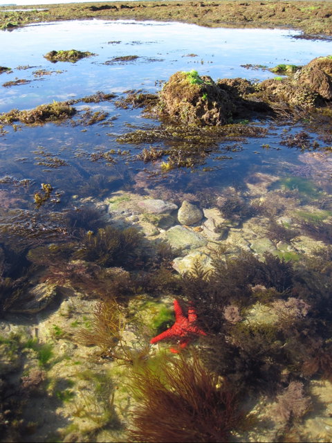 Point Danger Marine Sanctuary - Accommodation Europe 1