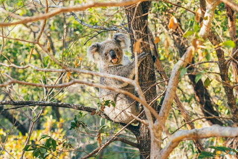 Radical Bay Track - Events Australia 2
