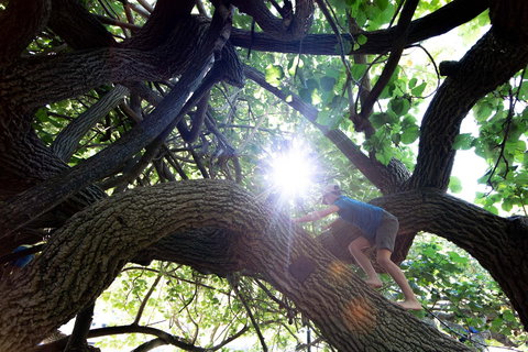 Scarborough Beach Park - Events Australia 0