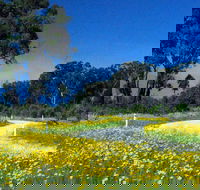 Shearer's Way - Events Australia