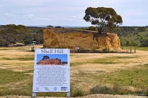 Shell Hill Reserve - Events Australia 0