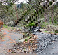 Stepping Stone Crossing to Cascades Trail - Events Australia