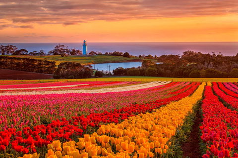 Table Cape - Events Australia 0