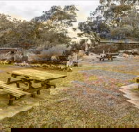 Thredbo River picnic area - Events Australia