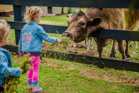 Tobruk Sydney - Events Australia 1