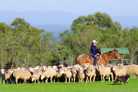 Tobruk Sydney - Events Australia 2