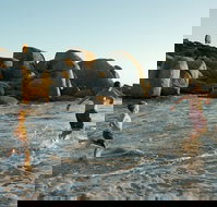 Venus Bay - Events Australia