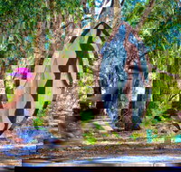 Wagirra Trail and Yindyamarra Sculpture Walk - Events Australia