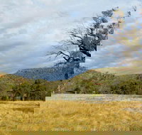 Weddin Mountains National Park - Tourism Bookings