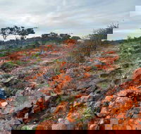 Western Ridge Walk - Events Australia