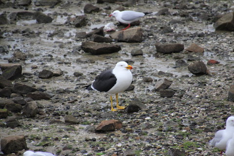 Woolley's Beach Walk - Events Australia 2